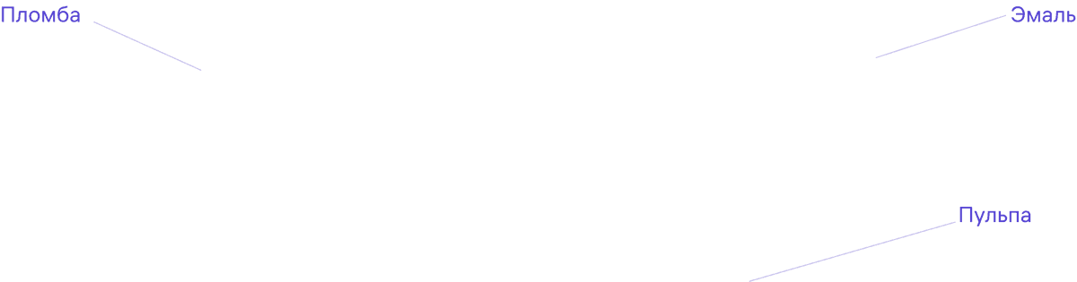 tooth