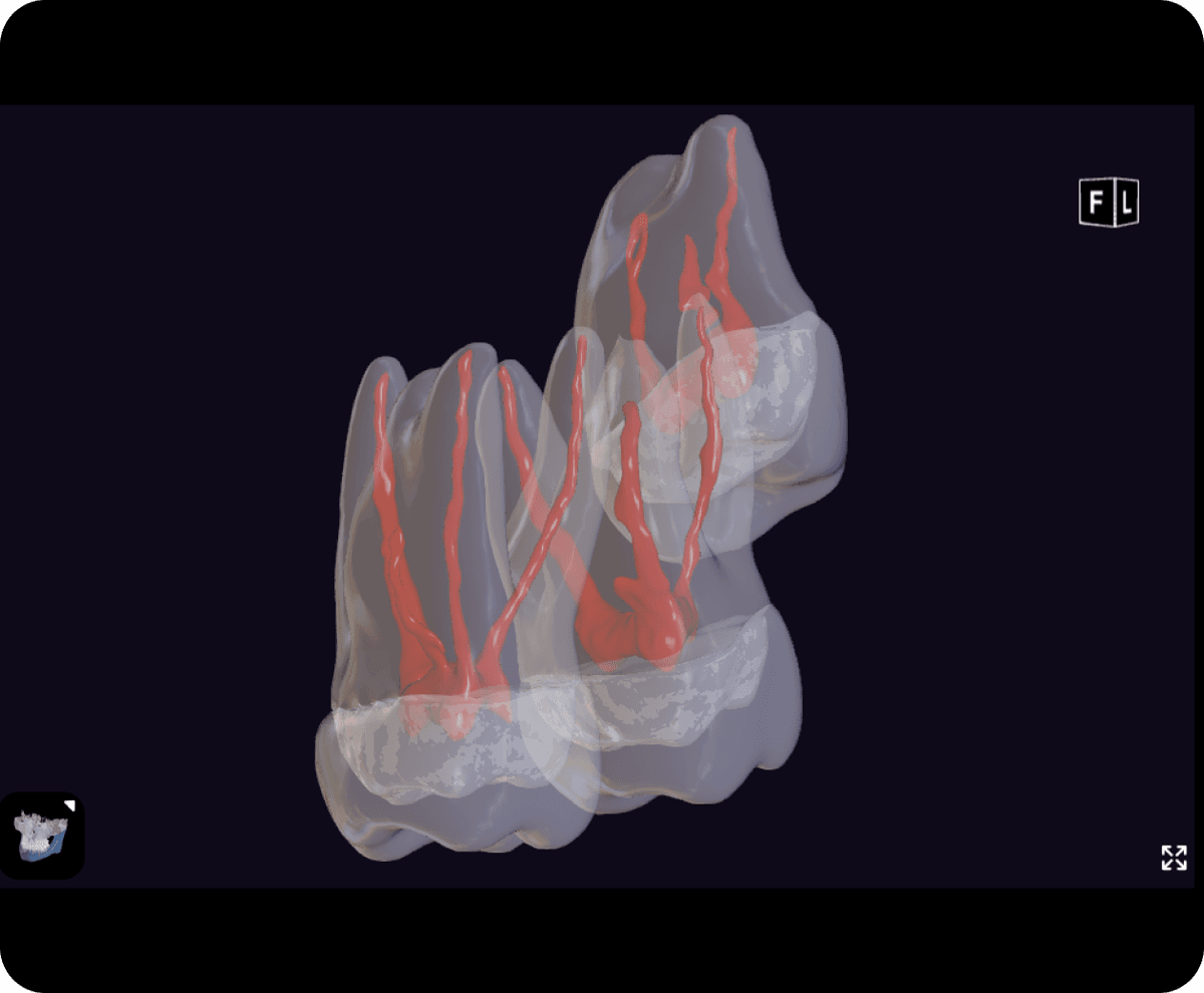 [object Object], отдельных структур для последующей печати на 3D-принтере.