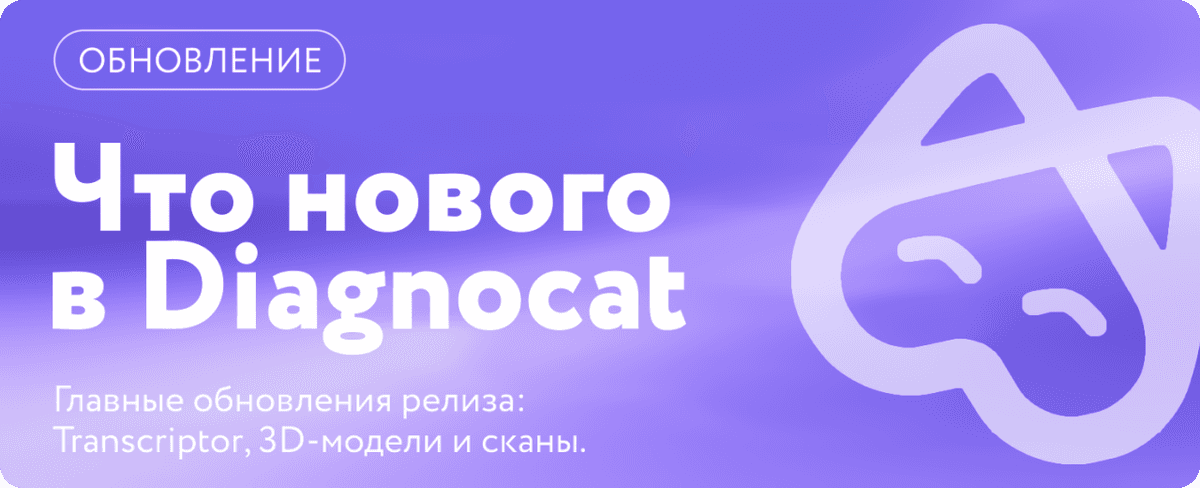 Сентябрьское обновление Diagnocat: Transcriptor, 3D-модели и превью сканов