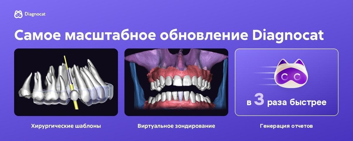 Самое масштабное обновление Diagnocat: релиз октября 2026